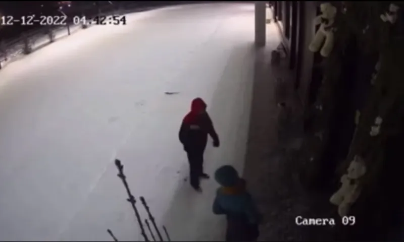 Двое людей украли игрушку медвежонка в Барнауле