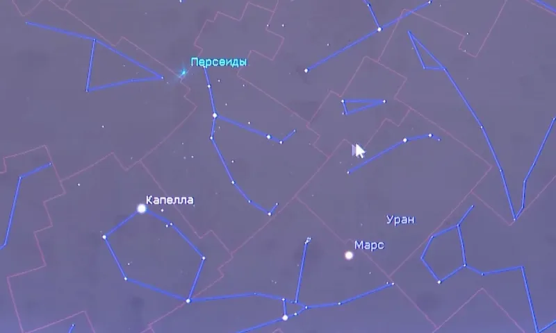 Самый мощный звездопад года смогут наблюдать жители Алтайского края 12 августа
