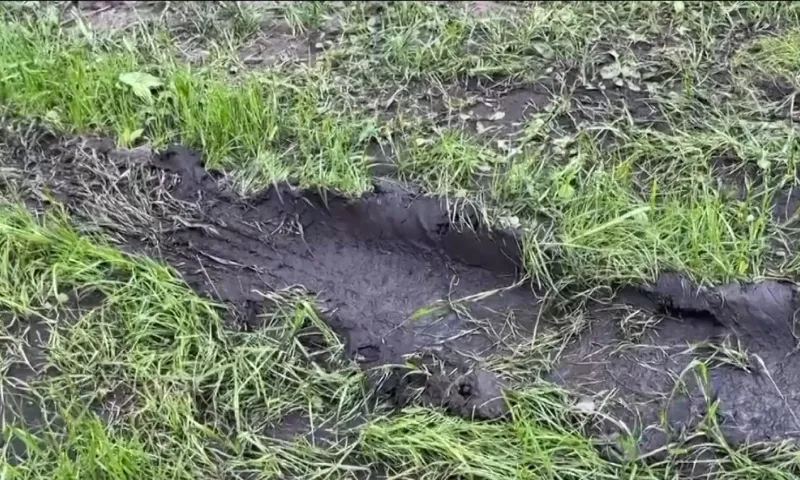 Барнаул начали обрабатывать от клещей