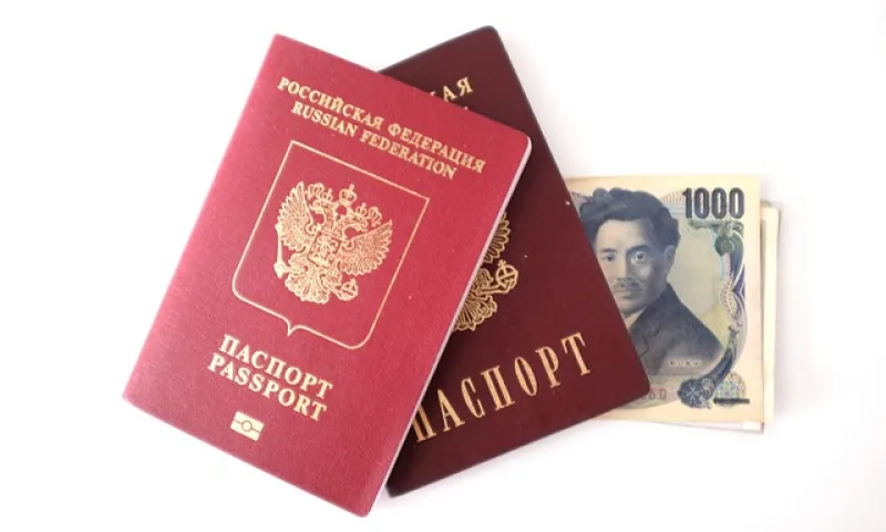 В России предлагают расширить перечень причин, по которым могут изъять загранпаспорт