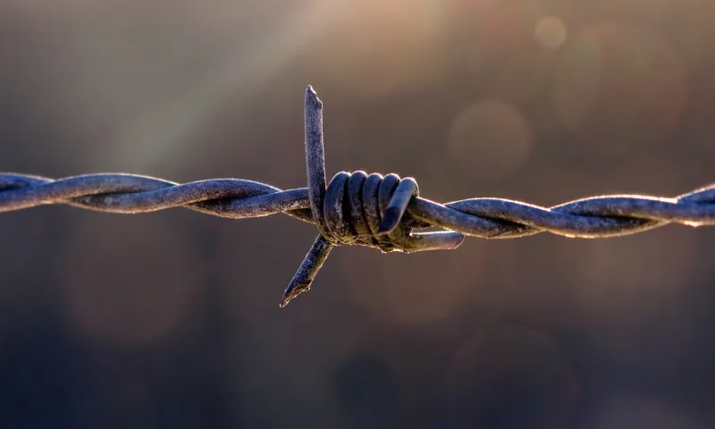 На Алтае убрали 28 тонн проволоки для освобождения миграционных путей животных