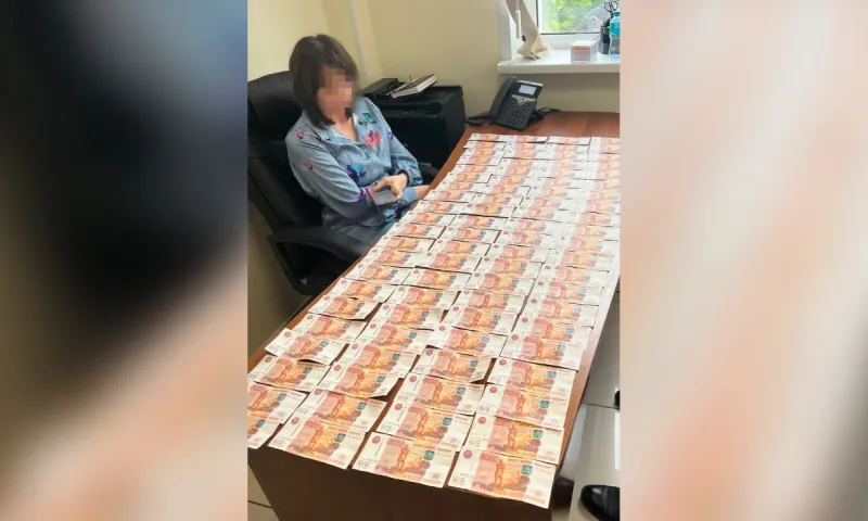 Бывшего директора филиала страховой компании в Алтайском крае обвиняют в мошенничестве и отмывании денег