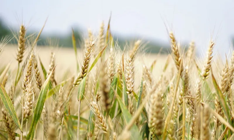 Экспорт продукции обсудили на заседании Общественного совета Алтайпищепрома