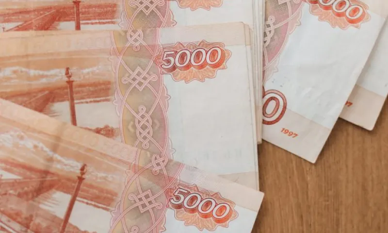 Гендиректору холдинга «Новаэм», похитившему у банка 1,7 млрд рублей, вынесли приговор в Алтайском крае