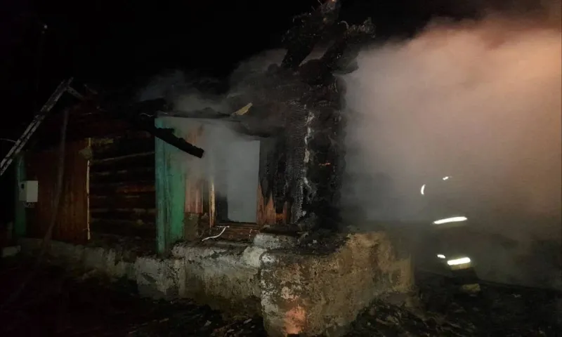 Пожарные спасли трёх детей из горящего дома в Алтайском крае