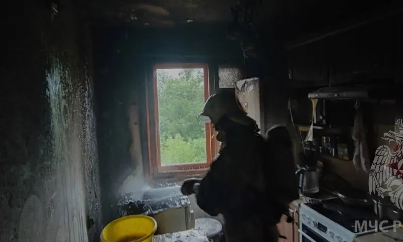 В барнаульской девятиэтажке произошел пожар