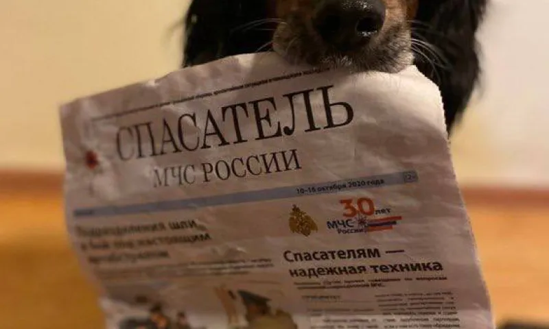 Сибирские спасатели проводили на пенсию собаку
