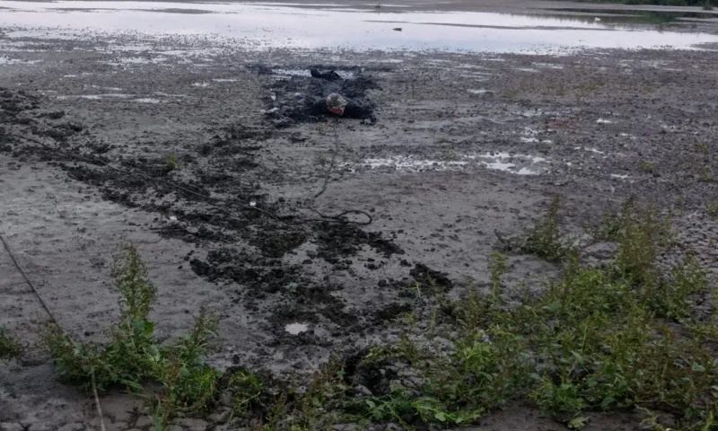 Провалившегося в трясину охотника спасли в Алтайском крае