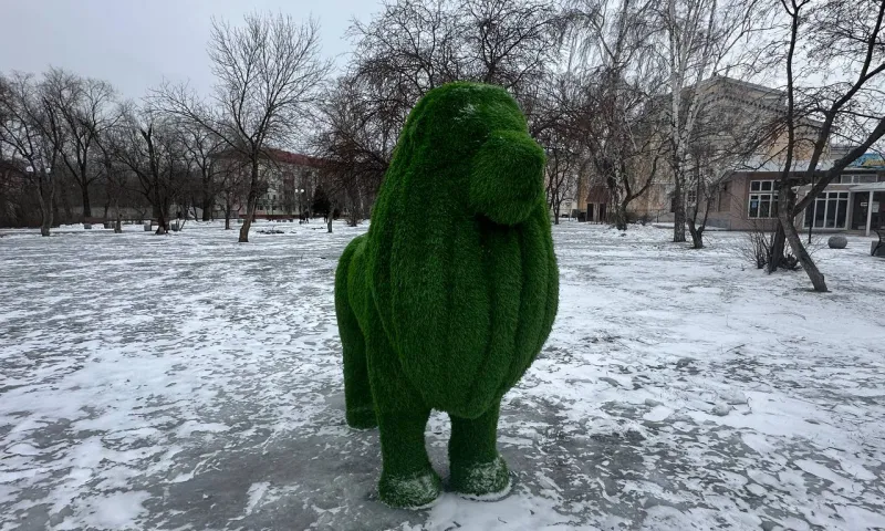 Декоративные зеленые фигуры установили в Бийске 