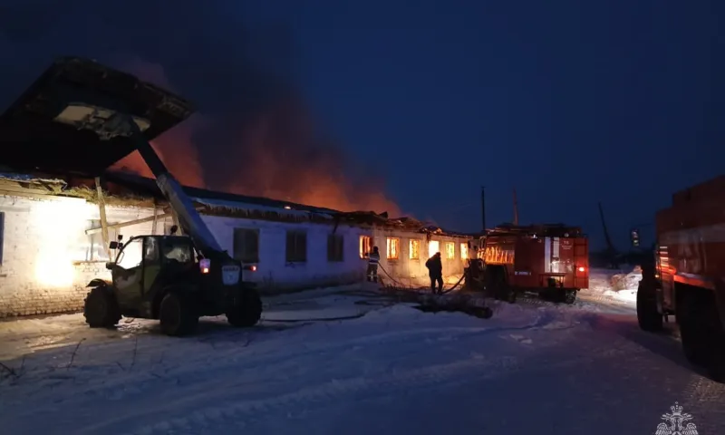 35 животных спасли на крупном пожаре в Бийском районе