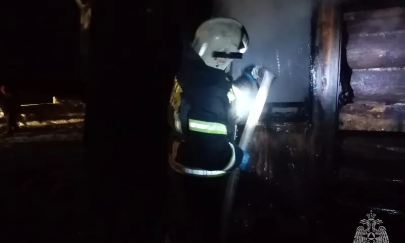 Две жизни унес пожар в Тальменском районе