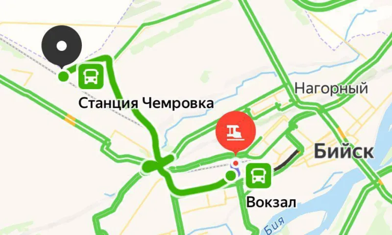 Приближающегося поезда не заметила жительница Алтайского края