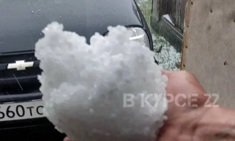 В Новичихинском районе выпал град