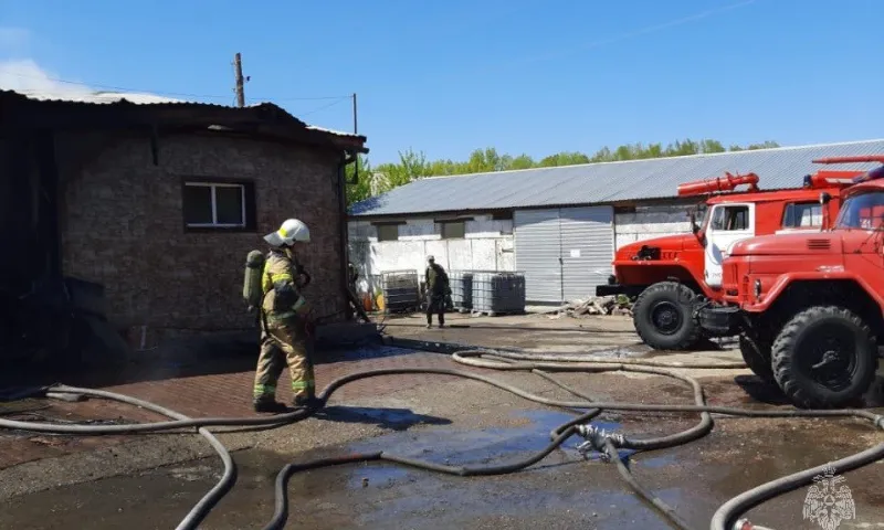 В Змеиногорске силами пожарной охраны ликвидировано возгорание магазина