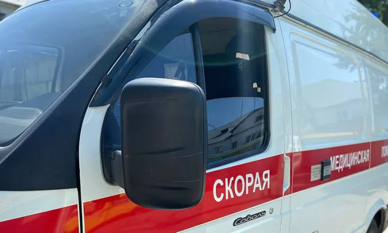 В Бийске алабай набросился на подростка