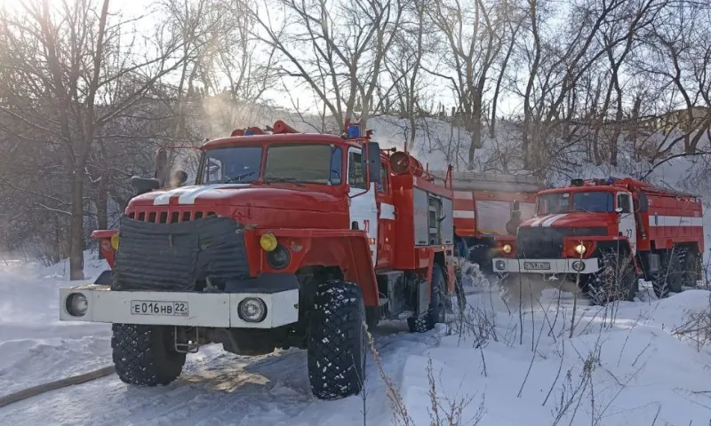 В Алтайском крае при пожаре в частных домах погибли люди