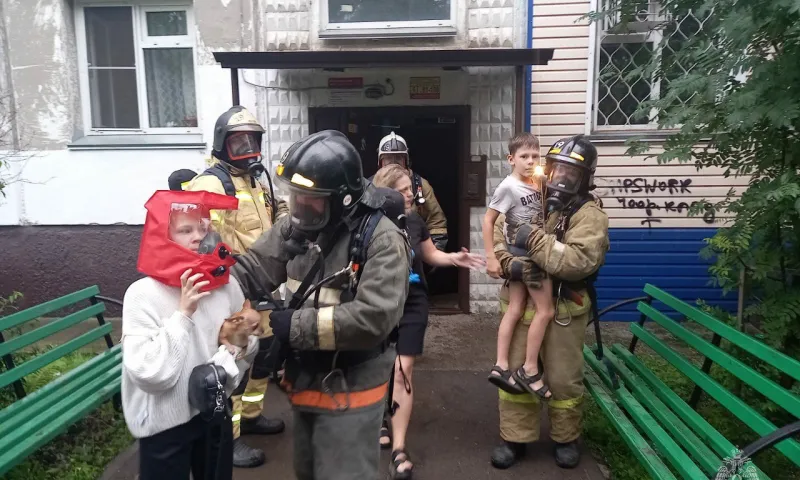 Пятерых детей спасли на пожаре в Бийске