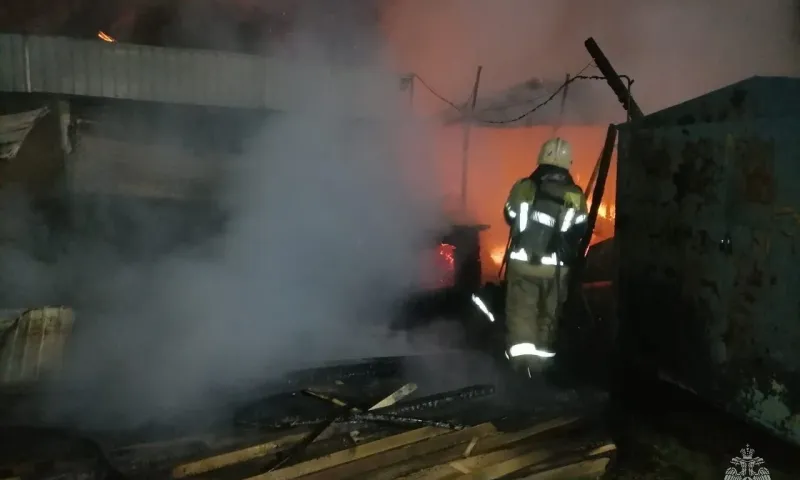 Пожар потушили этой ночью в барнаульском парке «Лесная сказка»