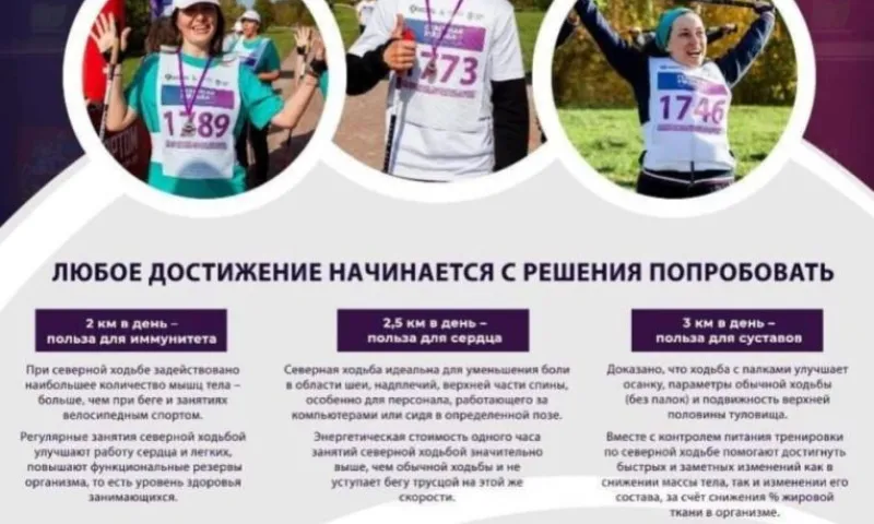 Бесплатный мастер-класс по скандинавской ходьбе пройдёт в барнаульском парке