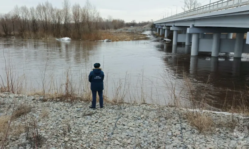 Паводок 2025: вода в реках Алтайского края продолжает прибывать 