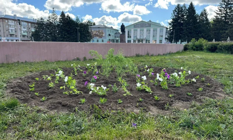 Более 8 тысяч цветов посадят в Рубцовске