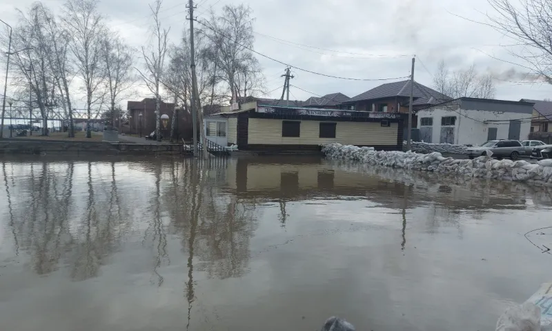Уровень Оби в Камне-на-Оби превысил критическую отметку