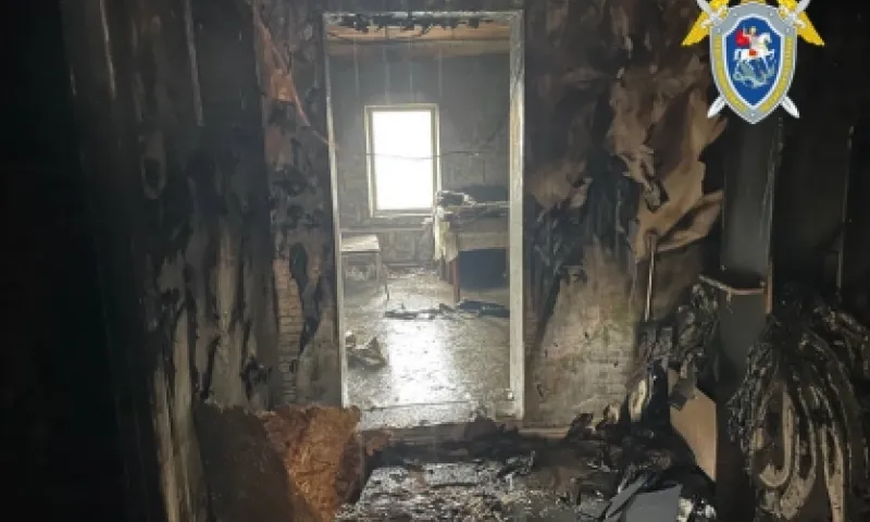 Трое детей погибли в результате пожара в Алтайском крае 