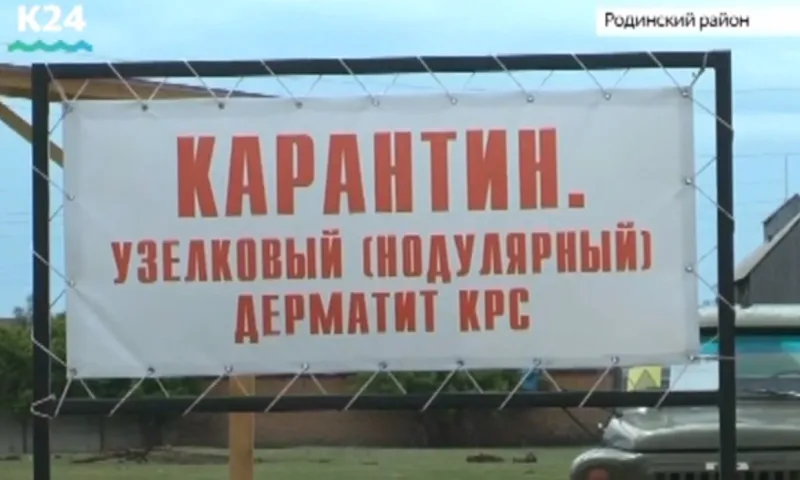 Масштабные противоэпизоотические учения прошли в Родинском районе