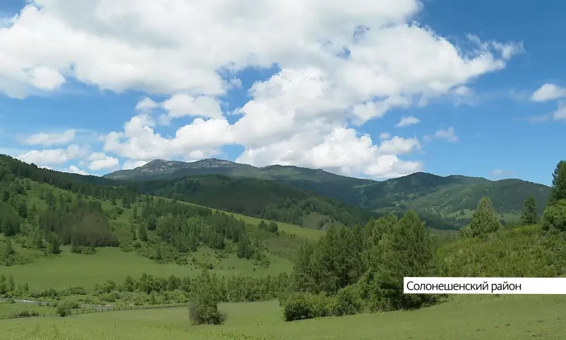 Текущий год может стать самым жарким в истории