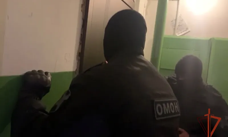 Группа мошенников из Бийска получала маткапитал на вымышленных детей
