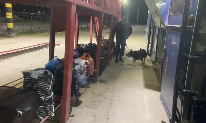 Алтайские пограничники обнаружили крупную партию сигарет, спрятанную в автобусе