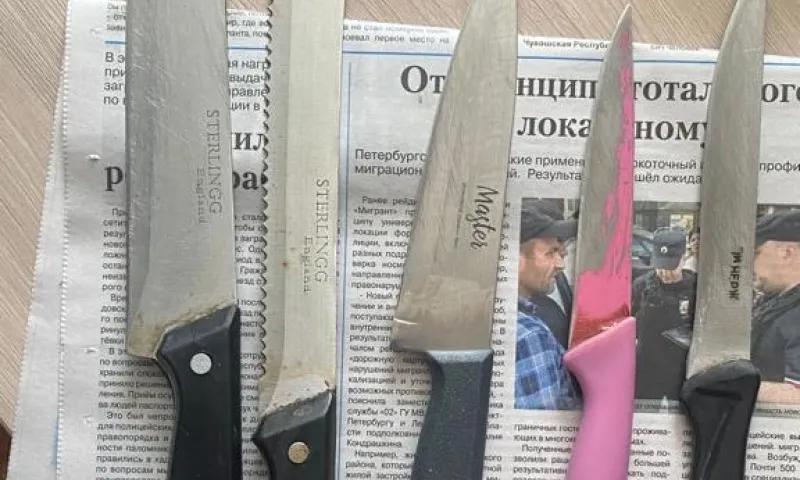 40 ножевых ранений нанес житель Змеиногорска соседке