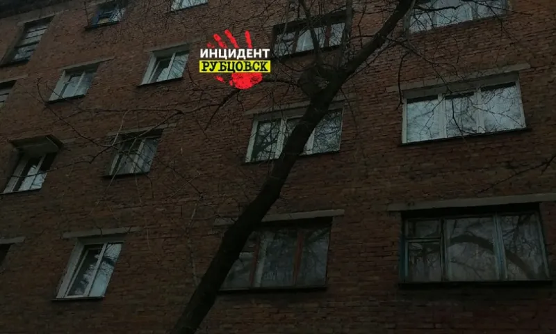 И вот именно поэтому из окна: на жительницу Рубцовска чуть не сбросили телевизор
