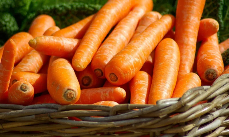 В России могут ограничить наценку на фермерские продукты