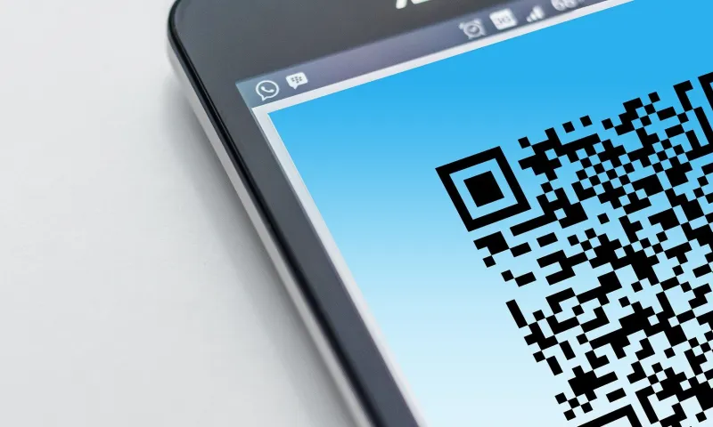 Алтайские депутаты отложили голосование по федеральному закону о QR-кодах