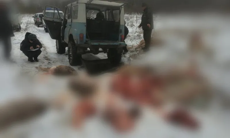 Почти 2 миллиона рублей заплатят браконьеры за охоту в Первомайском районе