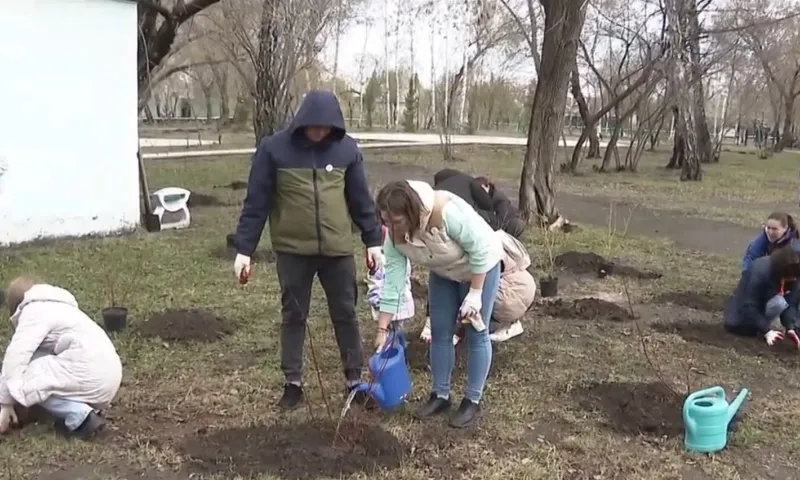 Ежегодная Всероссийская акция «Росток памяти» прошла сегодня в барнаульском парке «Изумрудный»