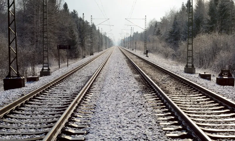 В Алтайском крае 38-летний мужчина попал под грузовой поезд