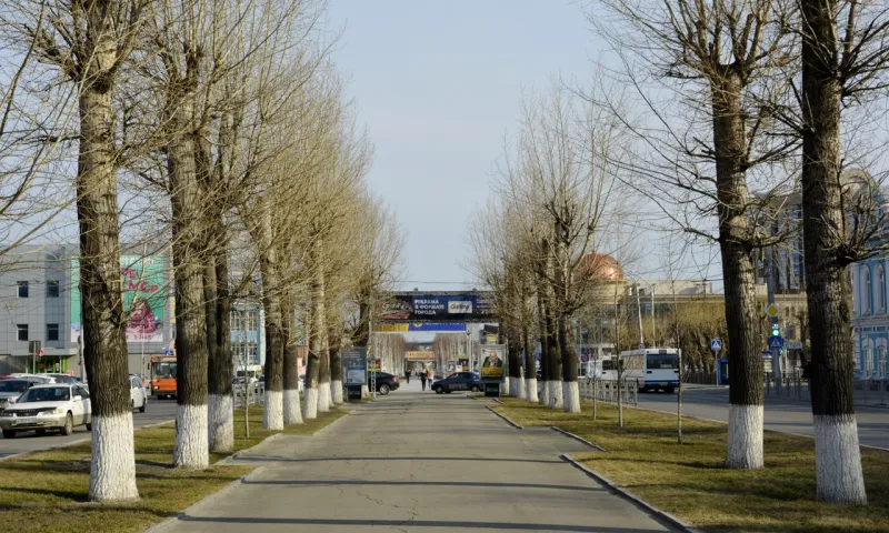 Более 860 деревьев и кустарников высадят в 2022 году в Барнауле