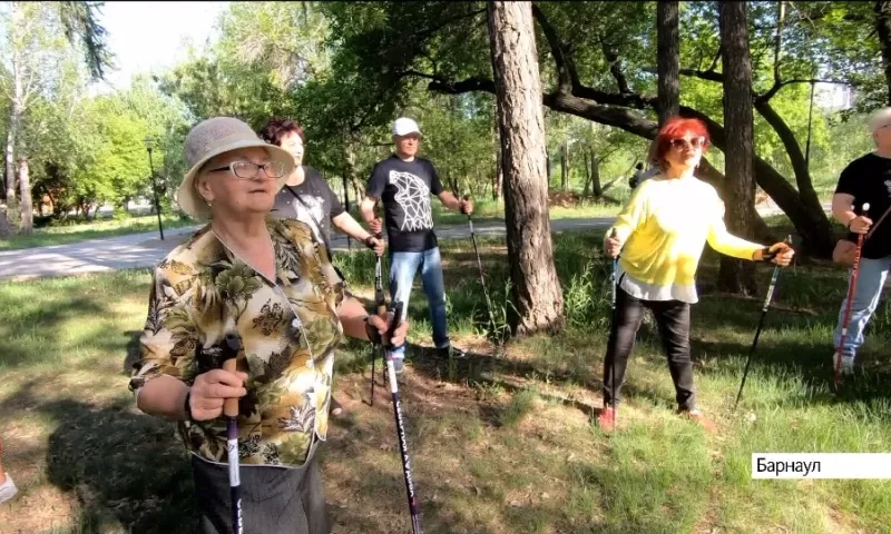 Занятия для любителей скандинавской ходьбы проводят в Мизюлинской роще в Барнауле