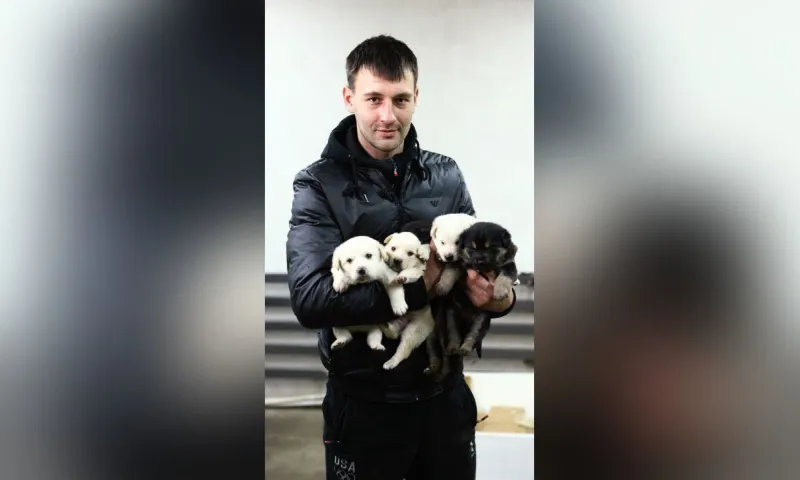 Сибиряк спас щенков от смерти
