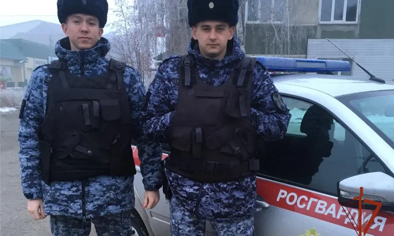 Сотрудники Росгвардии застрелили бродячего пса, спасая детей