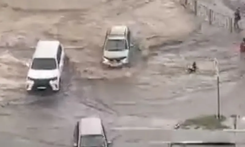 Стала известна личность ребёнка, которого  унесло потоком воды в Барнауле