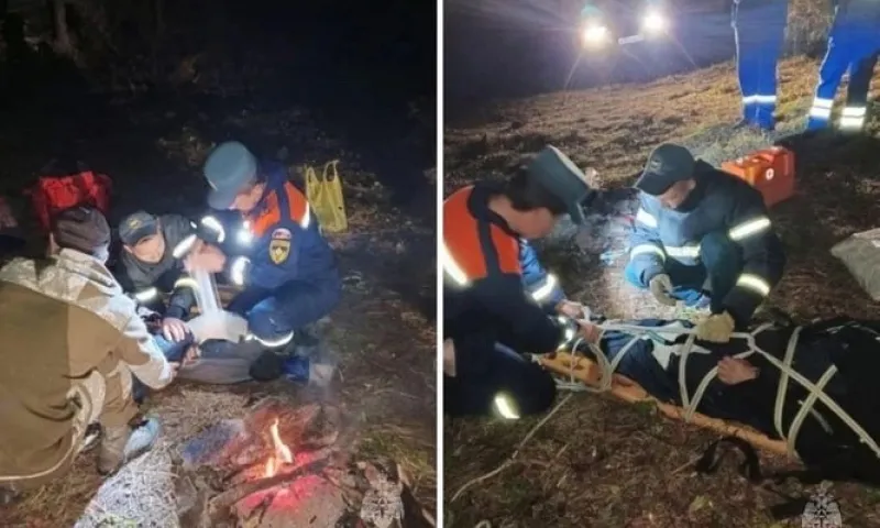 Мужчина получил травмы во время сбора орехов на Алтае