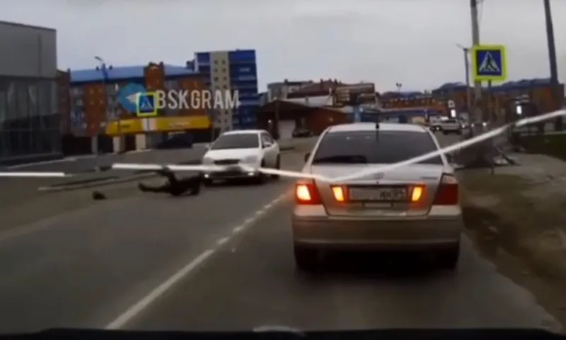 ДТП с пешеходом произошло в Бийске