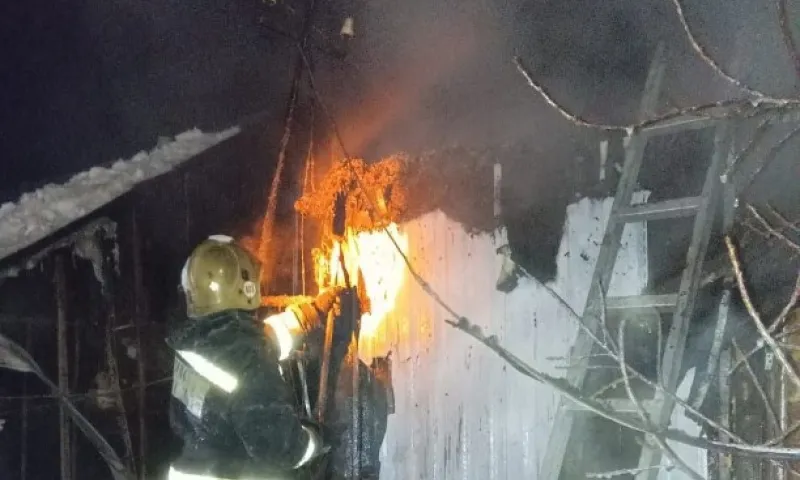 Спящих хозяев спасли из горящего дома в барнаульском поселке 