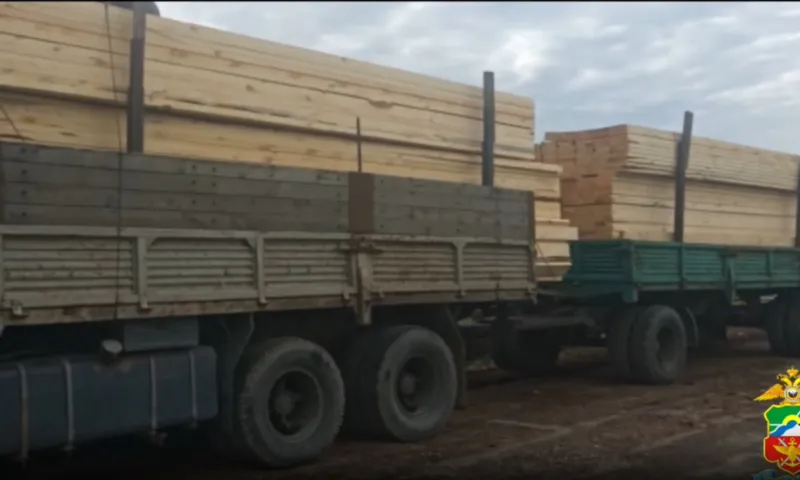 Вывоз за рубеж лесоматериалов более чем на 40 млн рублей пресекли на Алтае