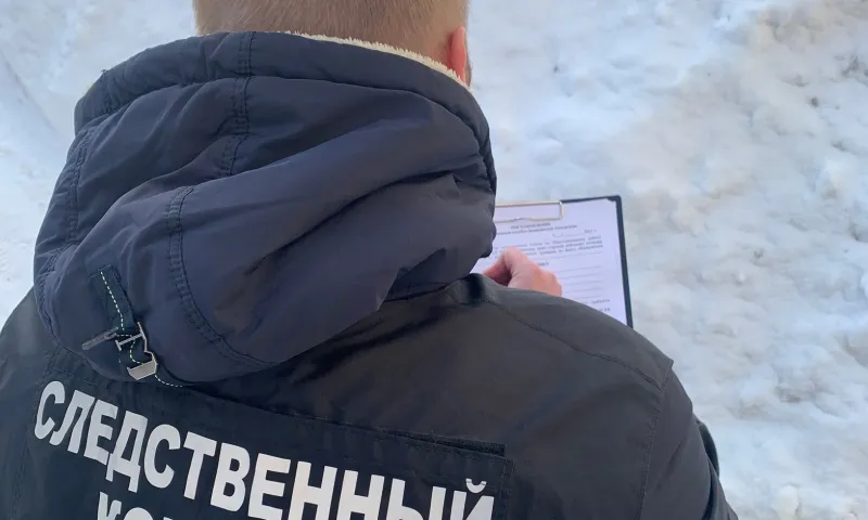 Завершилось расследование по делу об убийстве лежачей матери жителем Камня-на-Оби 