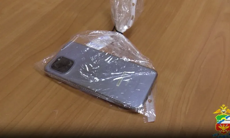В Сибири будущий зять украл у тещи смартфон 