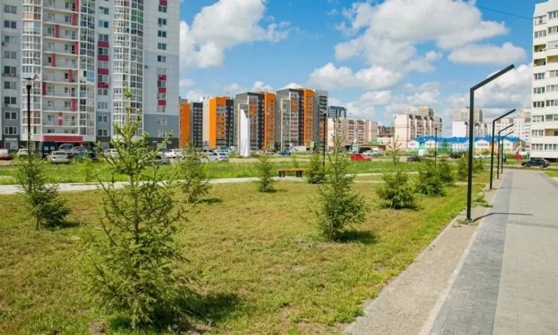 Новые деревья украсили сквер «Взлетный» в Барнауле